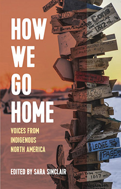 How We Go Home book cover
